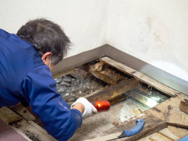 Carbondale, KS Mold Remediation Company