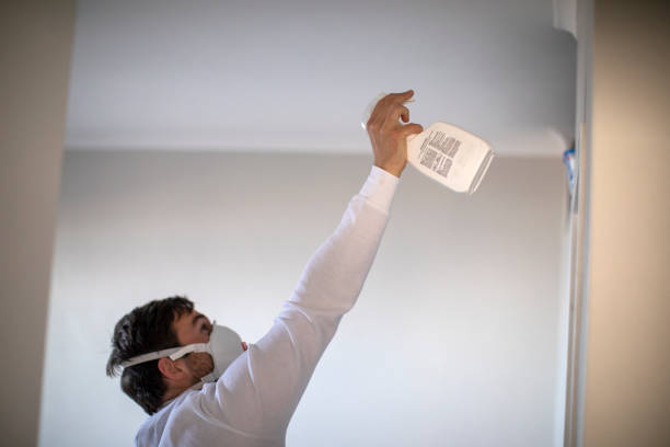 Best Commercial Mold Remediation in Carbondale, KS